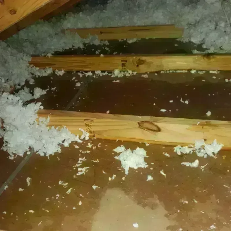 Attic Water Damage in Heflin, AL